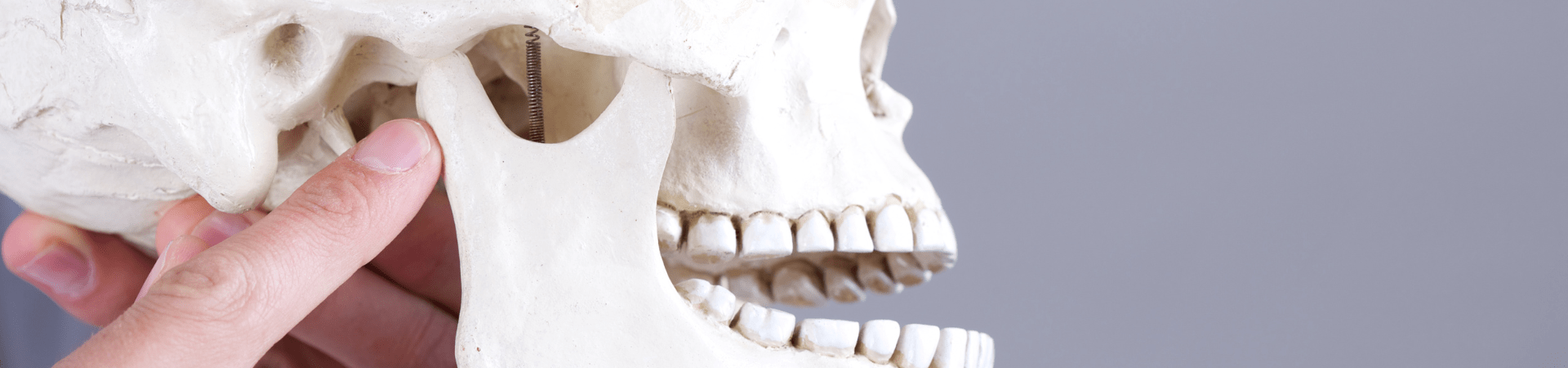 症状から探す｜中西歯科