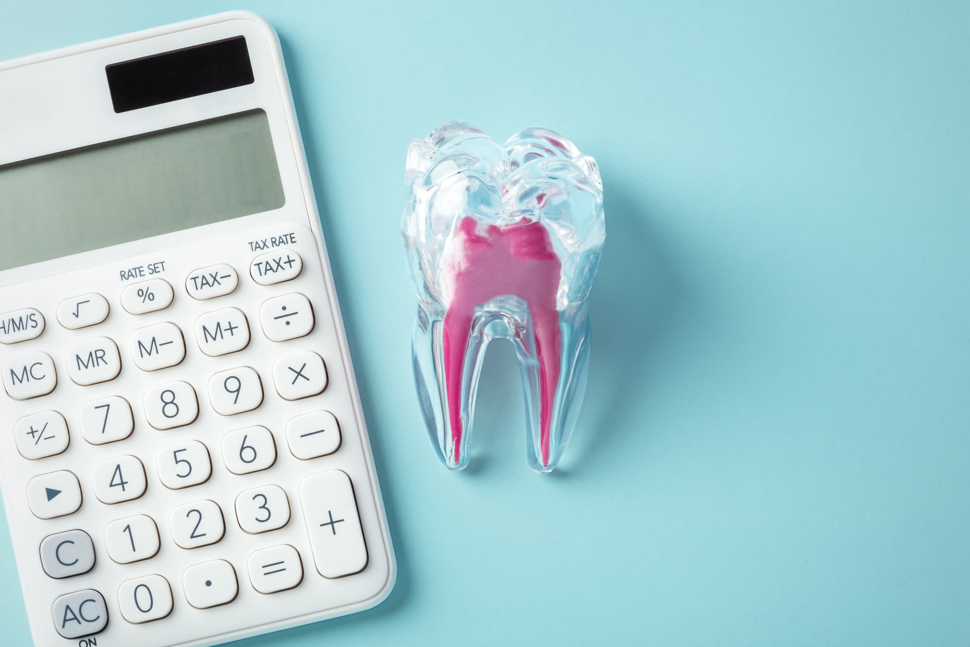 歯の神経が見える透明の歯の模型と電卓