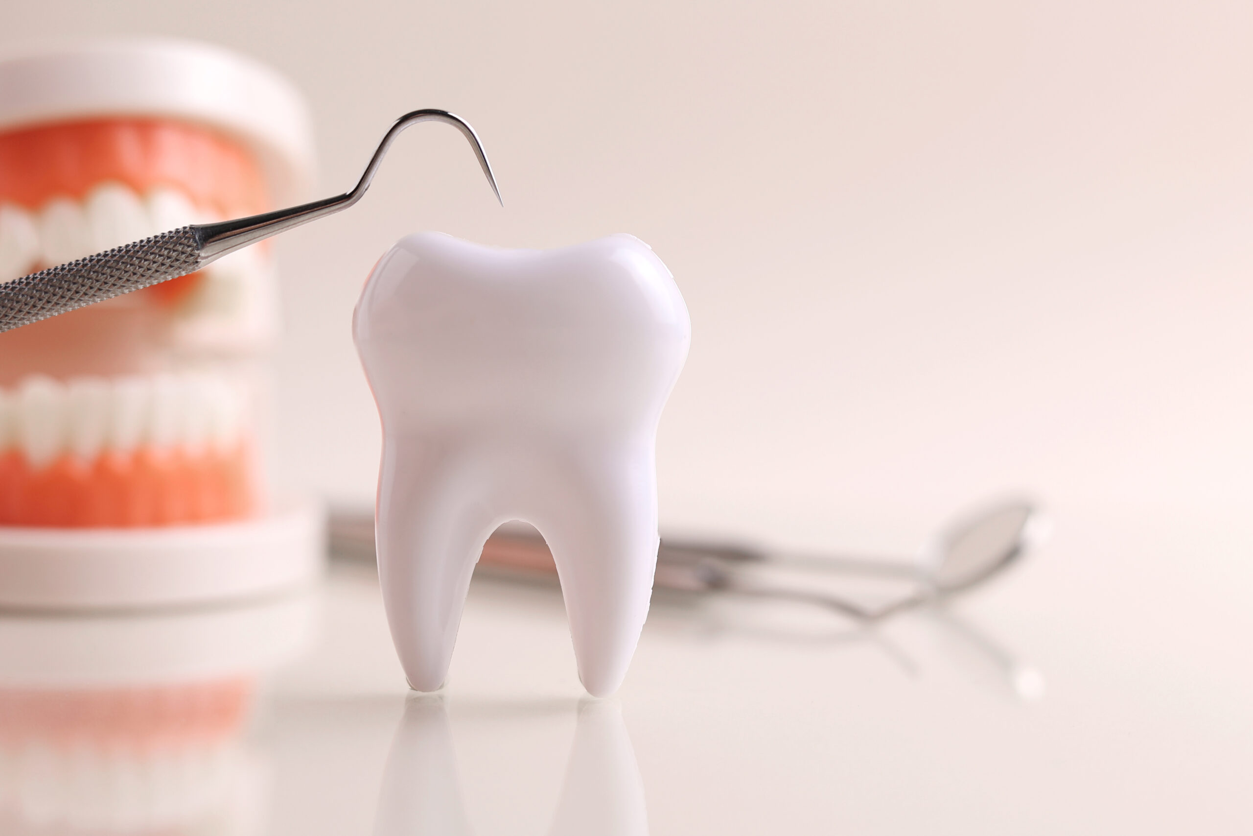 歯を綺麗に保つ予防歯科を行なっている